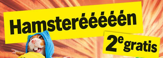 hamster.1