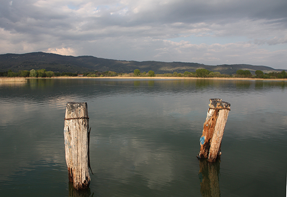 Trasimeno.L